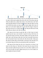 Nghiên cứa tổ chức mạng lưới bán hàng của Vinamilk