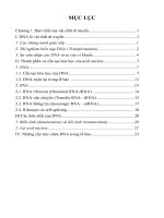 Giáo trình di truyền học