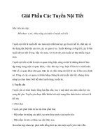 Giải Phẫu Các Tuyến Nội Tiết