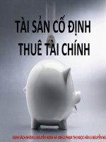 tai san thue tai chinh
