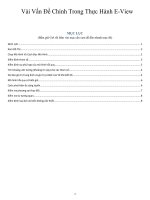 TỔNG HỢP KINH TẾ LƯỢNG THỰC HÀNH EVIEW