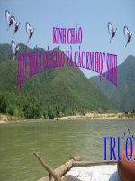 Tiết 85: Sự giàu đẹp của Tiếng Việt