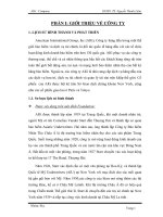 BÀI TẬP NHÓM QUẢN TRỊ DOANH NGHIỆP THƯƠNG MẠI Xây dựng và phát triển thương hiệu AIG Việt Nam