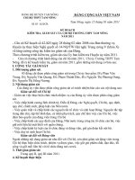 Chương trình kiêm tra -giám sát 2011