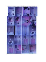 hinh chen ly7-cuc dep