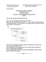 DE THI THUC HANH HKI - TIN 6 (10-11)