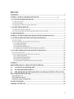 Tiểu luận môn tài chính quốc tế SỰ TỒN TẠI BỘ BA BẤT KHẢ THI TẠI VIỆT NAM 2009 - 2010