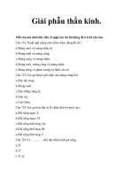 Bộ câu hỏi trác nghiệm có đáp an Giải phẫu thần kinh