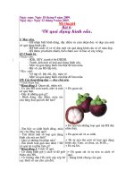 Giáo án chuyên đề: bài6 Vẽ quả