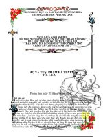 Sang kien kinh nghiem da duoc kiem dinh