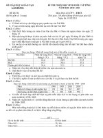 Đề dự bị HSG Địa 9 cấp tỉnh năm 2010 - 2011