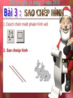 Bài 3 . Sao chép hình