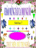 Đa dạng của lớp thú(Tiết 3)