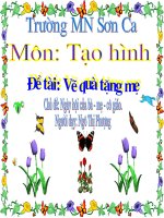 Phát triển thẩm mĩ
