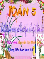 Toan 5: Dien tich hinh tam giac.