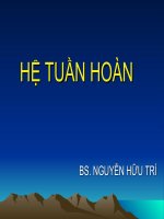Bài giảng về hệ tuần hoàn, đại học y dược Huế