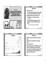 chuyên đề: Công ty cổ phần và thị trường chứng khoán