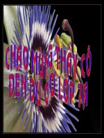 Bài 2 Bảng tần số