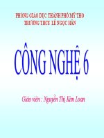 Bài 10 - Công nghệ 6