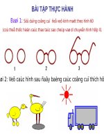 Bài 5. Vẽ tự do bằng cọ và bút chì