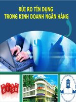 Tiểu luận môn luật ngân hàng RỦI RO TÍN DỤNG TRONG KINH DOANH NGÂN HÀNG