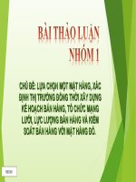 LỰA CHỌN một mặt HÀNG, xác ĐỊNH THỊ TRƯỜNG ĐỒNG THỜI xây DỰNG kế HOẠCH bán HÀNG, tổ CHỨC MẠNG lưới, lực LƯỢNG bán HÀNG và KIỂM SOÁT bán HÀNG với mặt HÀNG đó