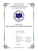 Tiểu luận môn tài chính quốc tế CHÂU Á ĐƯƠNG ĐẦU VỚI BỘ BA BẤT KHẢ THI