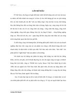 Thực trạng và một số giải pháp hoàn thiện kênh phân phối của công ty TNHH Sơn Lucky House Việt Nam