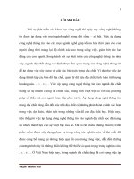 XỬ LÝ SỐ LIỆU MÔ HÌNH SỐ ĐỘ CAO (DEM) ỨNG DỤNG CHO NGHIÊN CỨU ĐỊA ĐỘNG LỰC KHU VỰC TÂY NGUYÊN