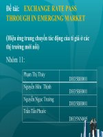 Tiểu luận môn thanh toán quốc tế EXCHANGE RATE PASS THROUGH IN EMERGING MARKET