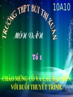 Tác giả Nguyễn Đình Chiểu