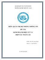 TIỂU LUẬN MÔN QUẢN TRỊ HỆ THỐNG THÔNG TIN KINH DOANH ĐIỆN TỬ VÀ HỢP TÁC TOÀN CẦU
