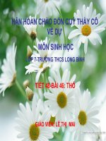 BÀI DỰ THI GVG (BÀI 46 THỎ)