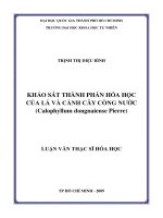 Khảo sát thành phần hóa học của lá và cành cây còng nước (Callophyllum dongnaiense Pierre)