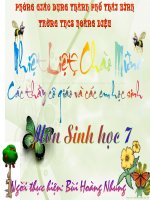 Nhện và đa dạng của lớp hình nhện