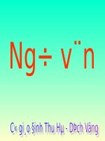 Cuộc chia tay của những con búp  bê