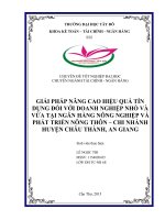 Giải pháp nâng cao hiệu quả tín dụng đối với doanh nghiệp nhỏ và vừa tại ngân hàng nông nghiệp và phát triển nông thôn (AGRIBANK) – CN huyện châu thành, an giang