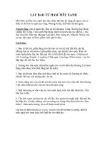 LAU BAO TU HAM TIEU XANH