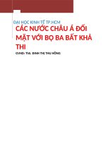 Tiểu luận tài chính quốc tế Các nước châu Á đối mặt với bộ ba bất khả thi