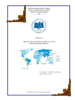 HIỆU ỨNG TRUNG CHUYỂN TÁC ĐỘNG CỦA TỶ GIÁ TRONG THỊ TRƯỜNG MỚI NỔI