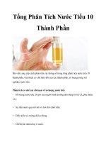 Tổng Phân Tích Nước Tiểu 10 Thành Phần