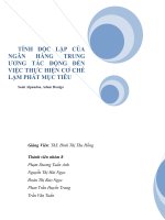 Tiểu luận tài chính quốc tế Tính độc lập của ngân hàng Trung ương tác động đến việc thực hiện cơ chế lạm phát mục tiêu