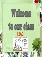 UNIT 12- READING- English 12- thi GVDG cap tinh