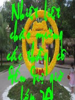 Tiết 25: Tác dụng từ, tác dụng....