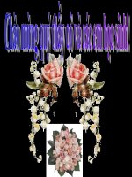 BÀI 30. SỰ NHÂN LÊN CỦA VIRUT TRONG TẾ BÀO CHỦ