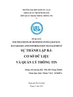 TIỂU LUẬN MÔN QUẢN TRỊ HỆ THỐNG THÔNG TIN SỰ THÀNH LẬP B.I CƠ SỞ DỮ LIỆU VÀ QUẢN LÝ THÔNG TIN