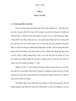 Đánh giá thực trạng và một số nhận xét bảo vệ môi trường của thị trấn chợ Chu Định Hóa Thái Nguyên