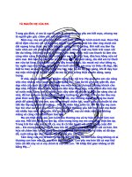 TẢ NGƯỜI MẸ CỦA EM