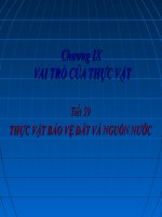 Vai trò của thực vật