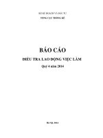 SỐ LIỆU THỐNG kê LAO ĐỘNG VIỆC làm 2014